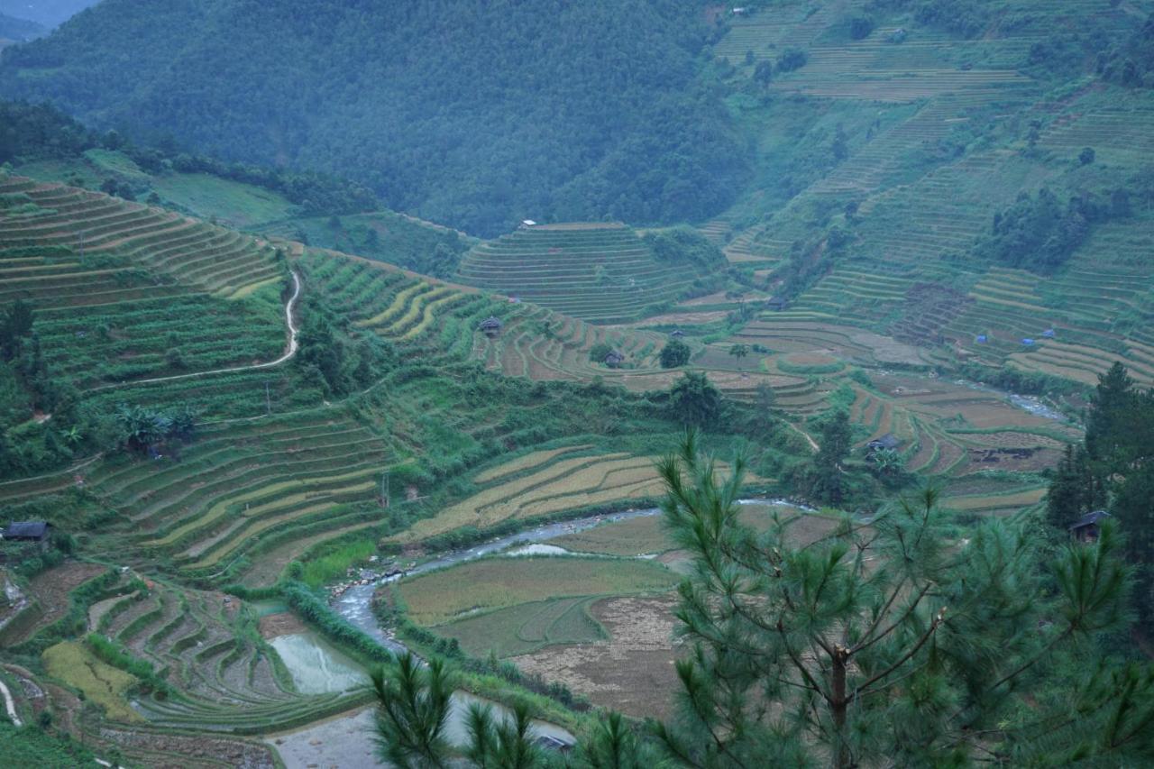 Hello Mu Cang Chai Homestay & Tours Εξωτερικό φωτογραφία