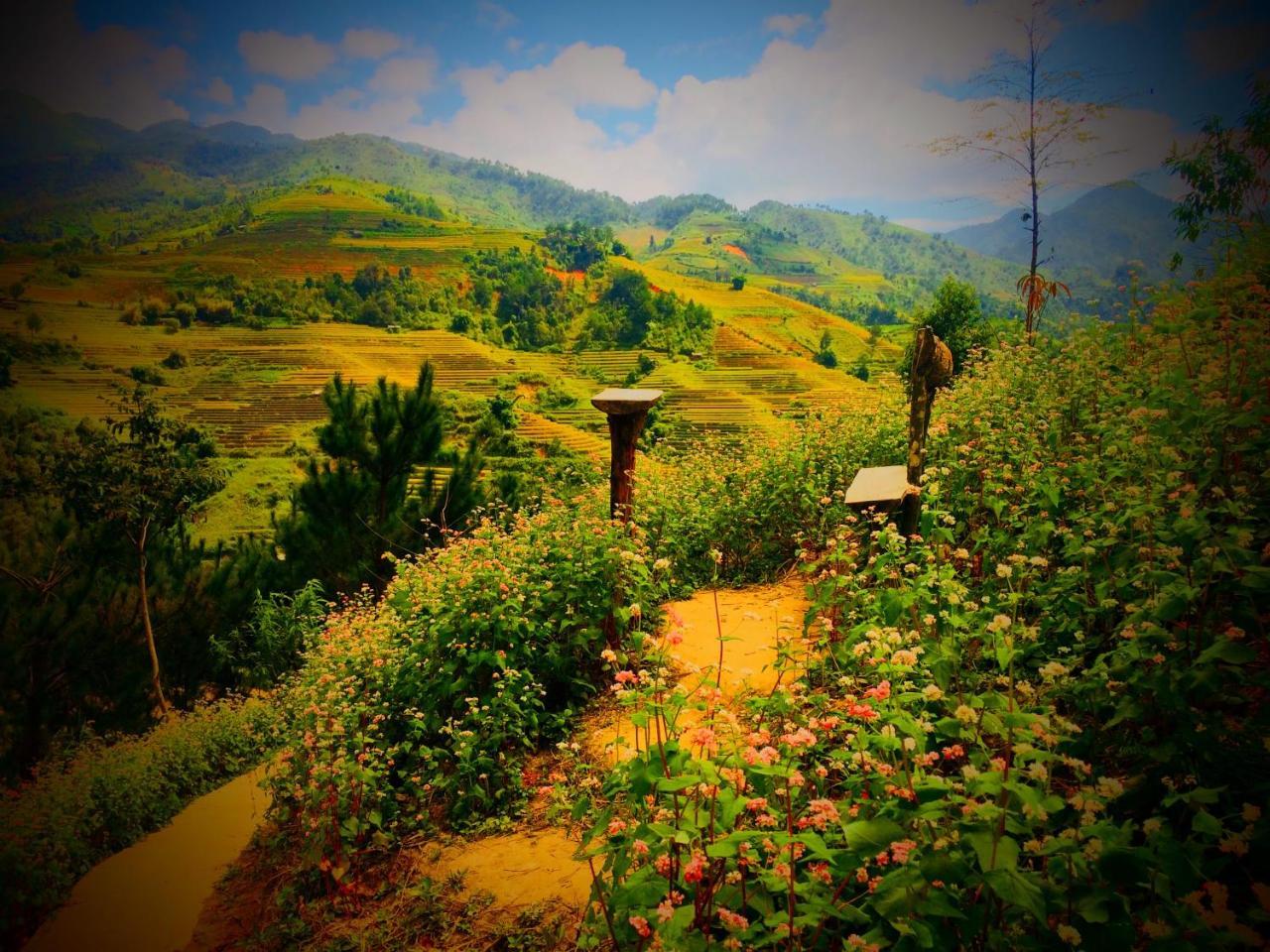 Hello Mu Cang Chai Homestay & Tours Εξωτερικό φωτογραφία